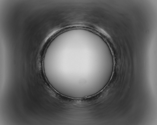 X0000086311360200704201954