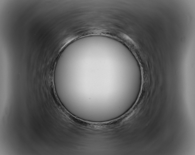 X0000086311361200704201954