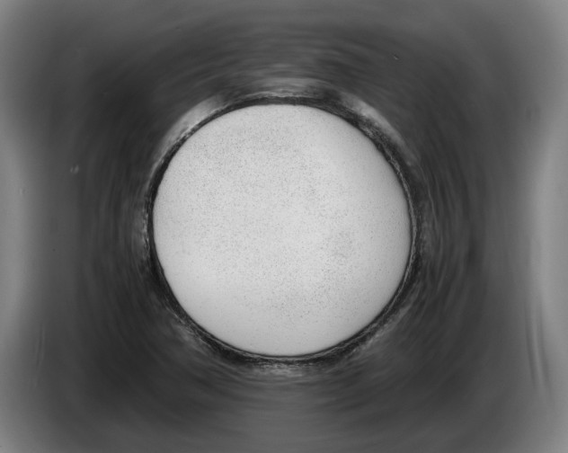 X0000086311362200704201954