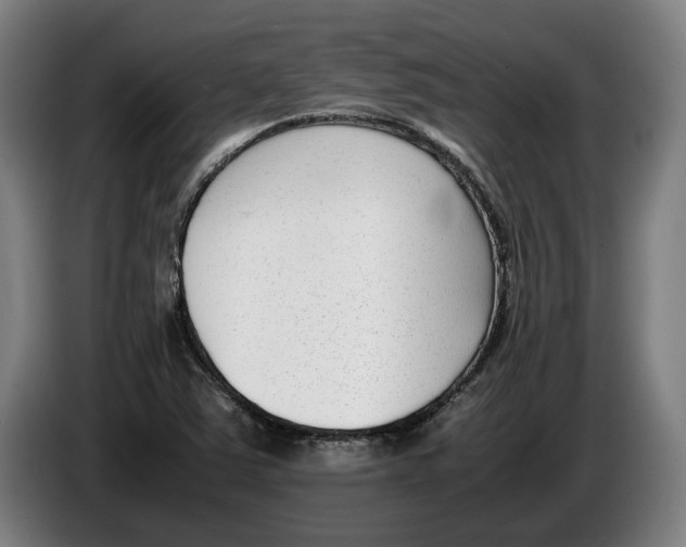 X0000086311363200704201954