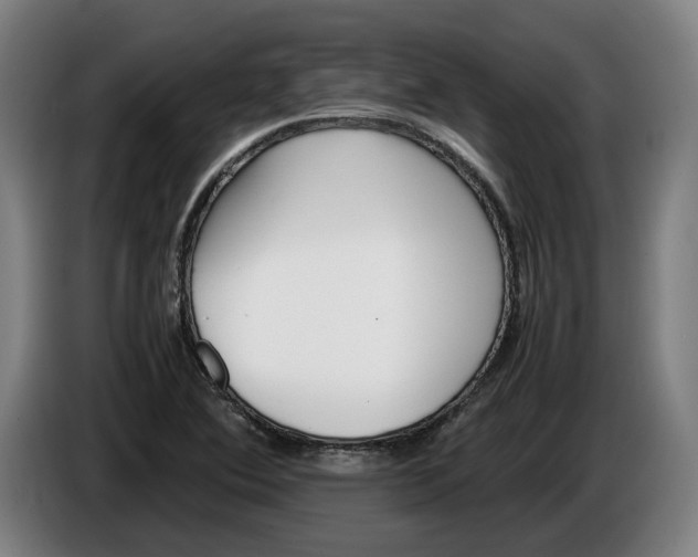 X0000086311364200704201954