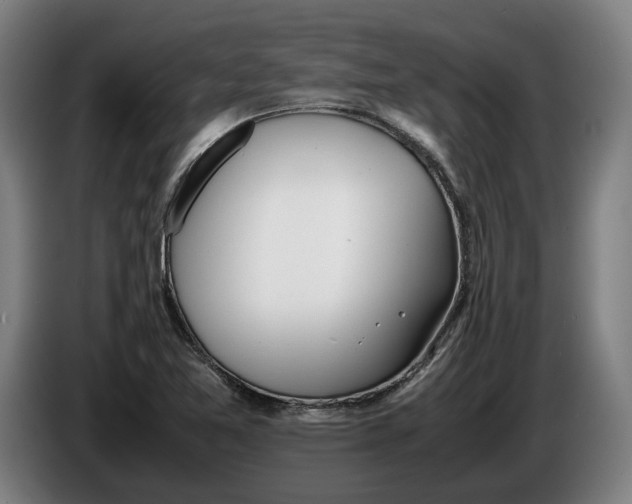 X0000086311365200704201954