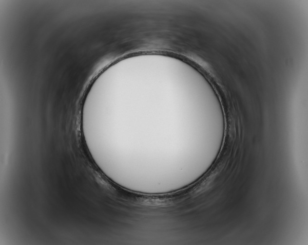 X0000086311366200704201954