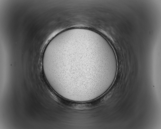 X0000086311367200704201954