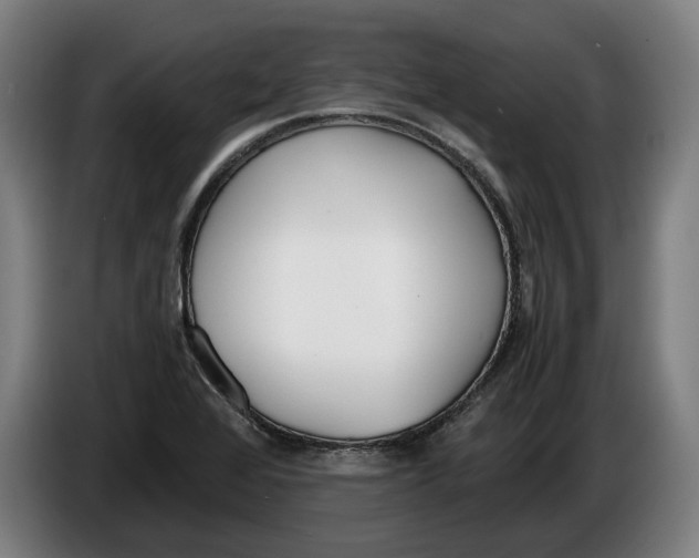 X0000086311368200704201954