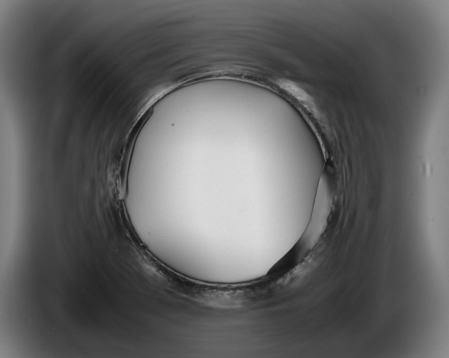 X0000086311369200704201954