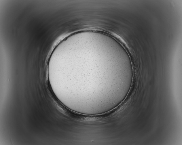 X0000086311371200704201954
