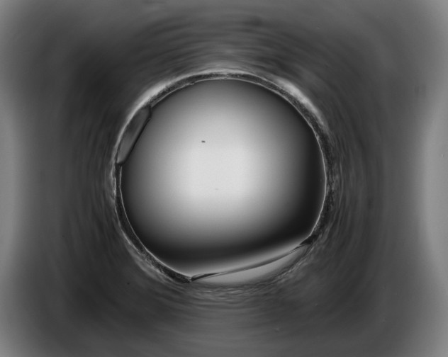 X0000086311372200704201954