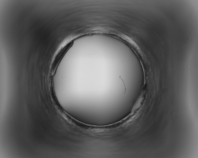 X0000086311373200704201954