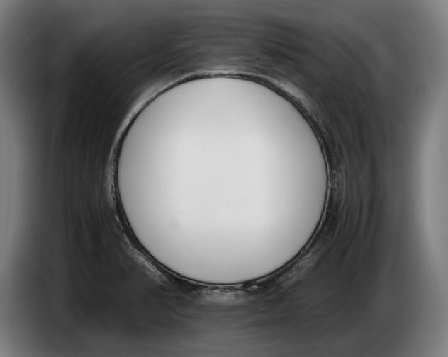 X0000086311374200704201954