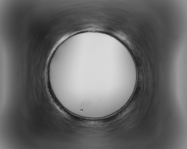 X0000086311375200704201954