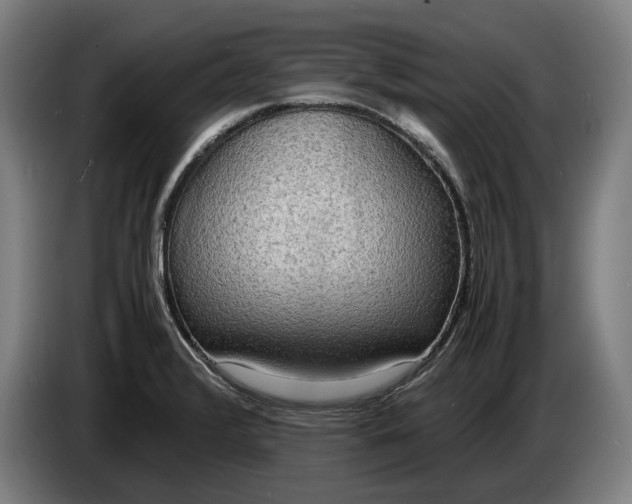 X0000086311376200704201954