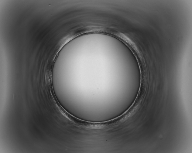 X0000086311377200704201954