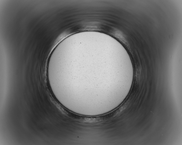 X0000086311378200704201954