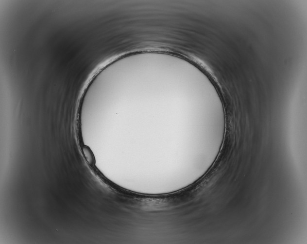 X0000086311379200704201954