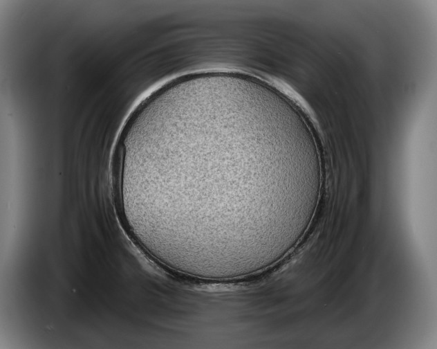 X0000086311380200704201954