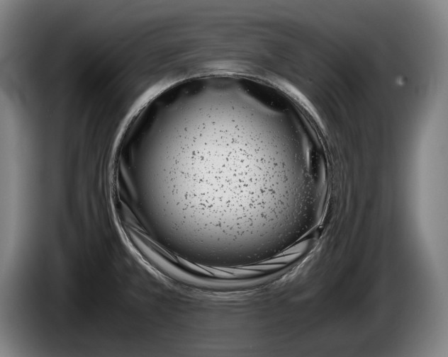 X0000086311381200704201954