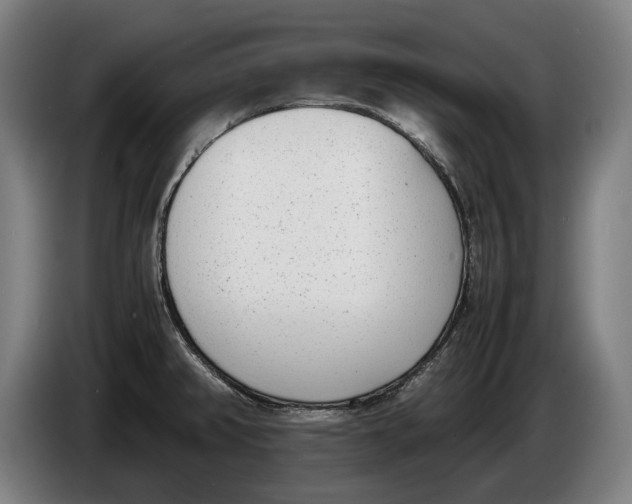 X0000086311382200704201954