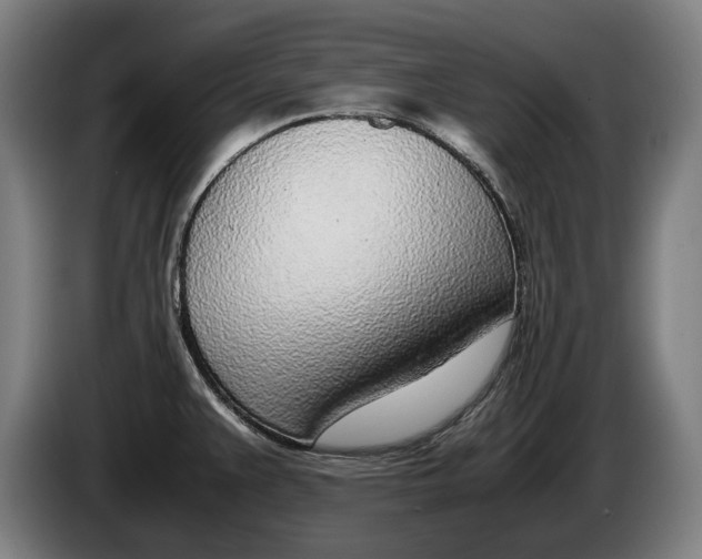 X0000086311383200704201954