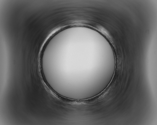 X0000086311384200704201954