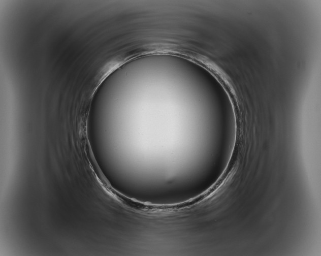 X0000086311385200704201954