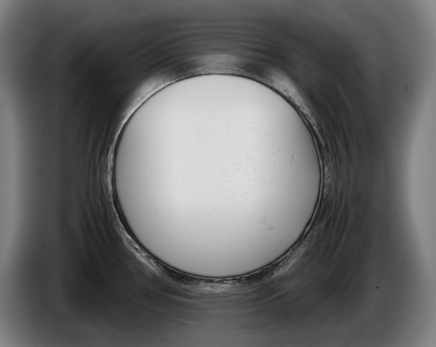 X0000086311386200704201954