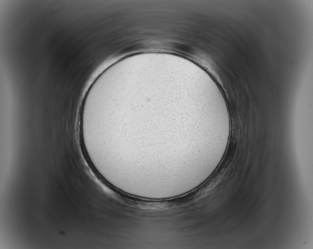 X0000086311387200704201954