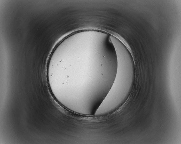 X0000086311388200704201954
