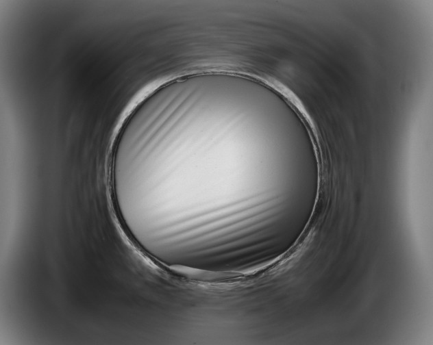 X0000086311389200704201954
