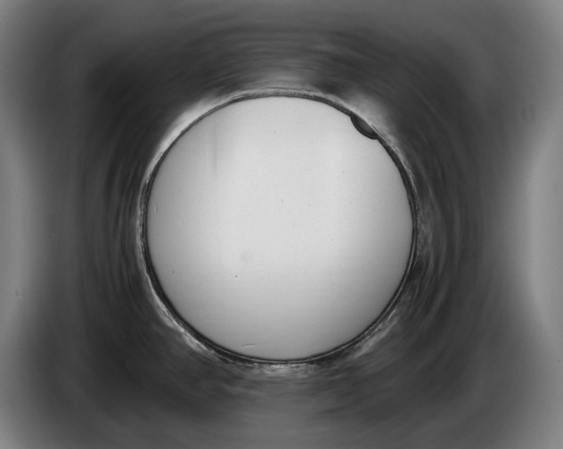 X0000086311390200704201954