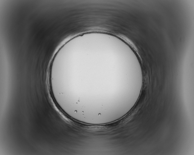 X0000086311391200704201954