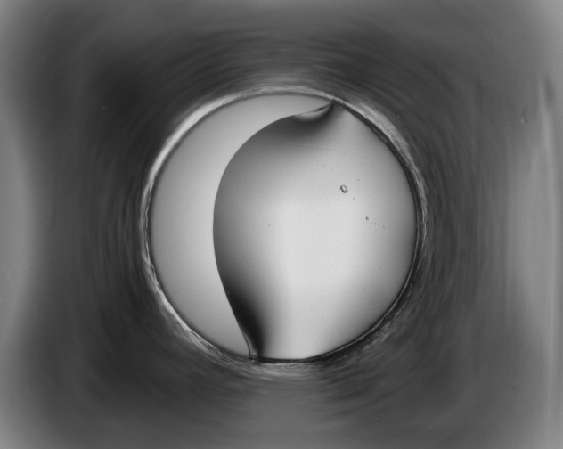 X0000086311392200704201954