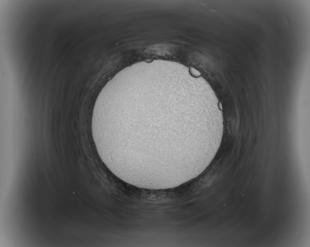 X0000086311393200704201953