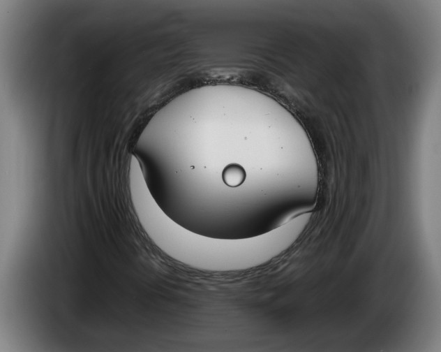 X0000086311394200704201953