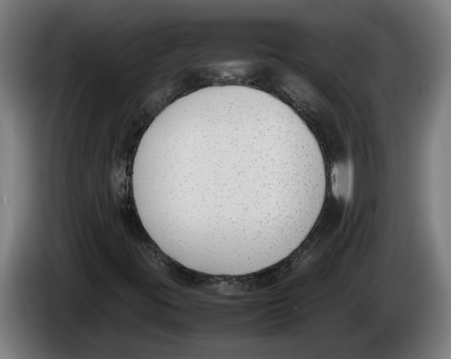 X0000086311395200704201953