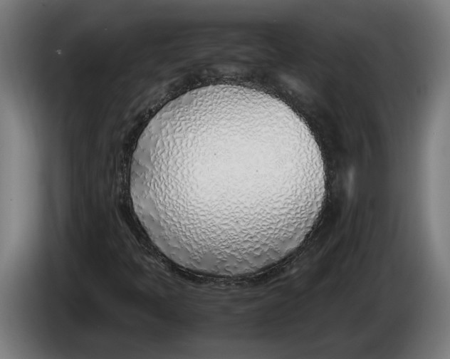 X0000086311397200704201953