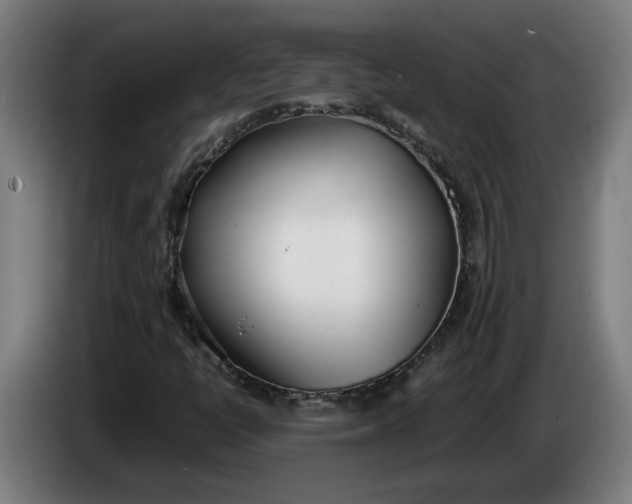 X0000086311398200704201953
