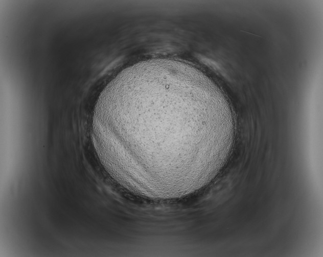 X0000086311399200704201953