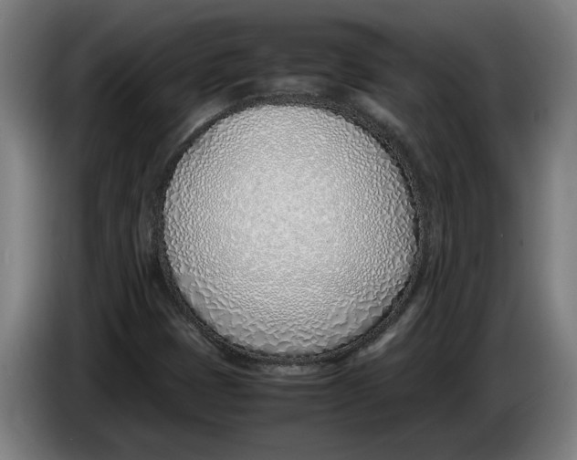 X0000086311401200704201953