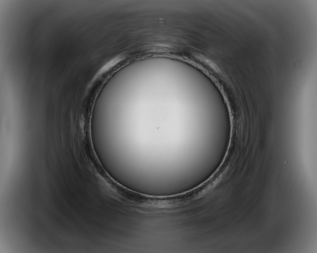 X0000086311402200704201953