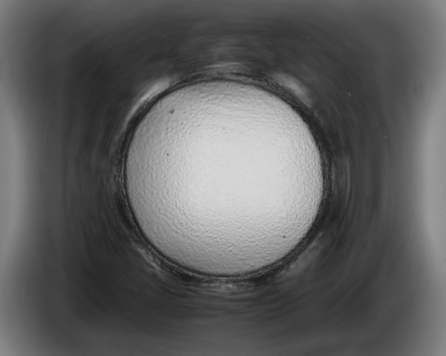 X0000086311405200704201953