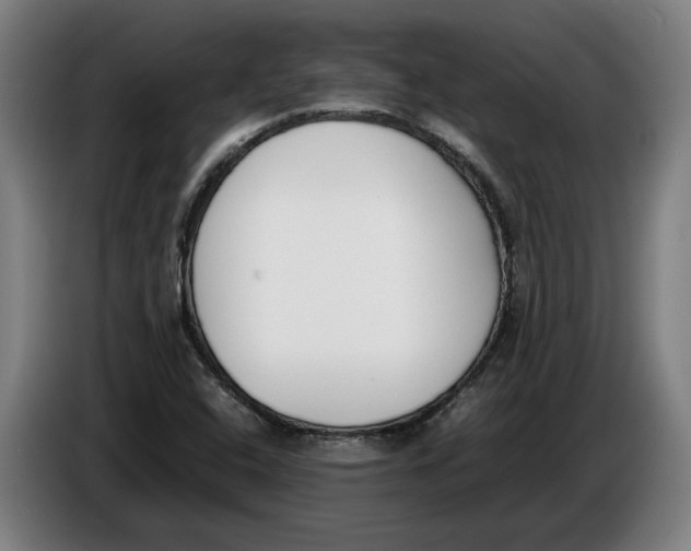 X0000086311408200704201953