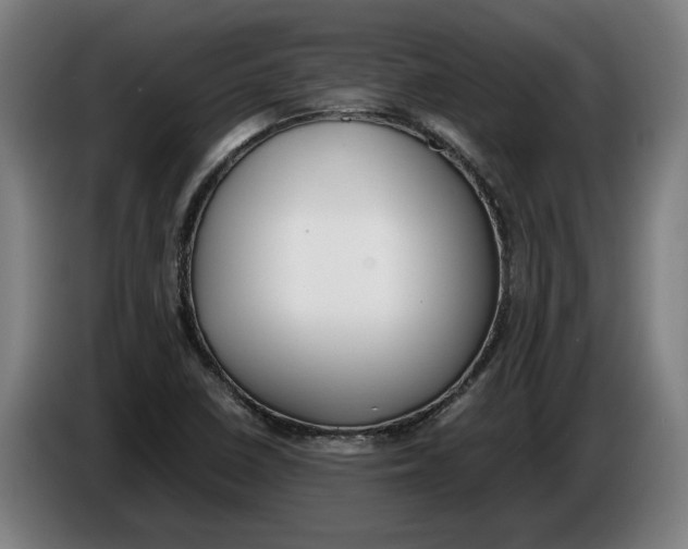 X0000086311410200704201953