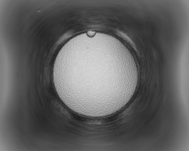 X0000086311411200704201953