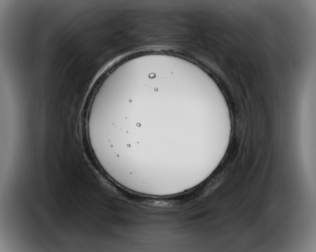 X0000086311412200704201953