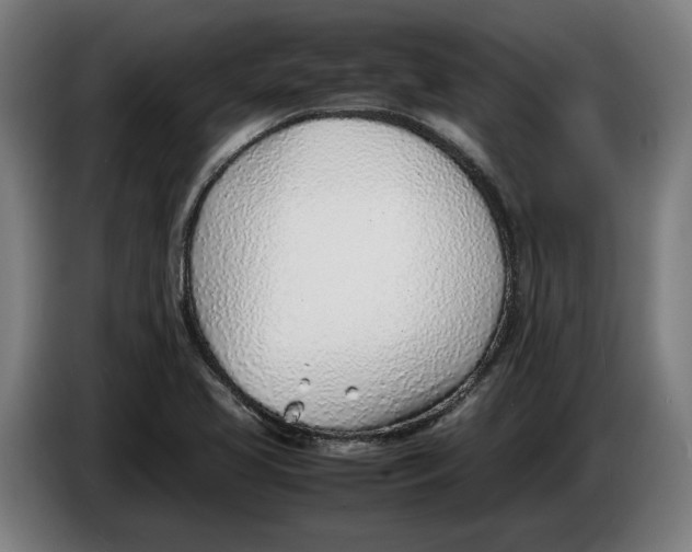 X0000086311413200704201953