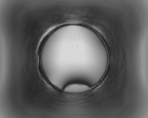 X0000086311414200704201953