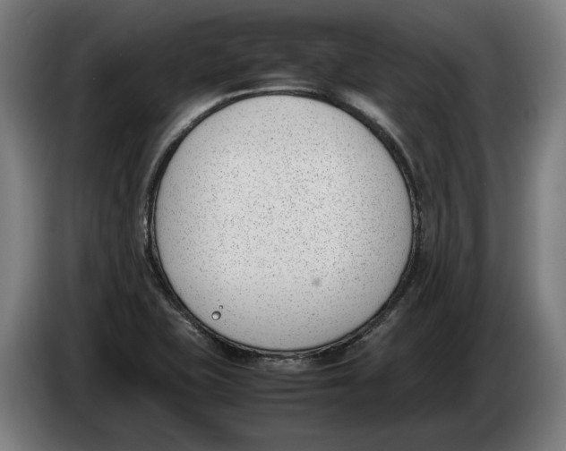 X0000086311415200704201953