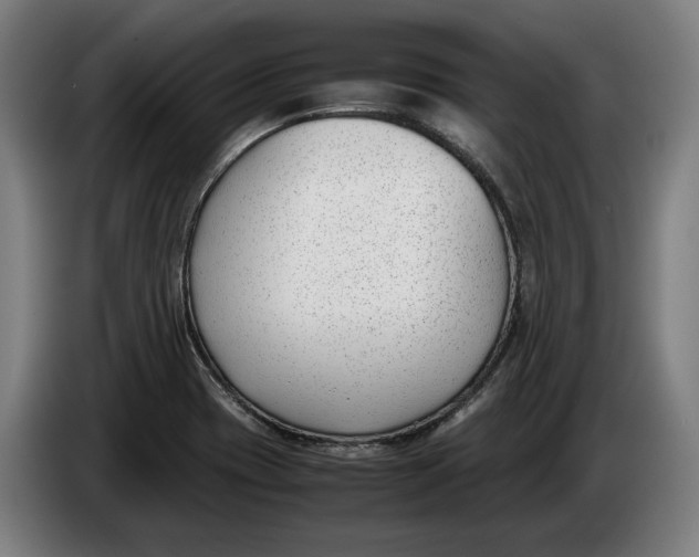 X0000086311417200704201953
