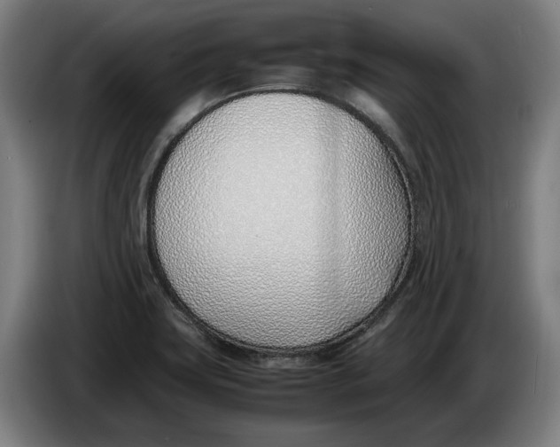 X0000086311419200704201953